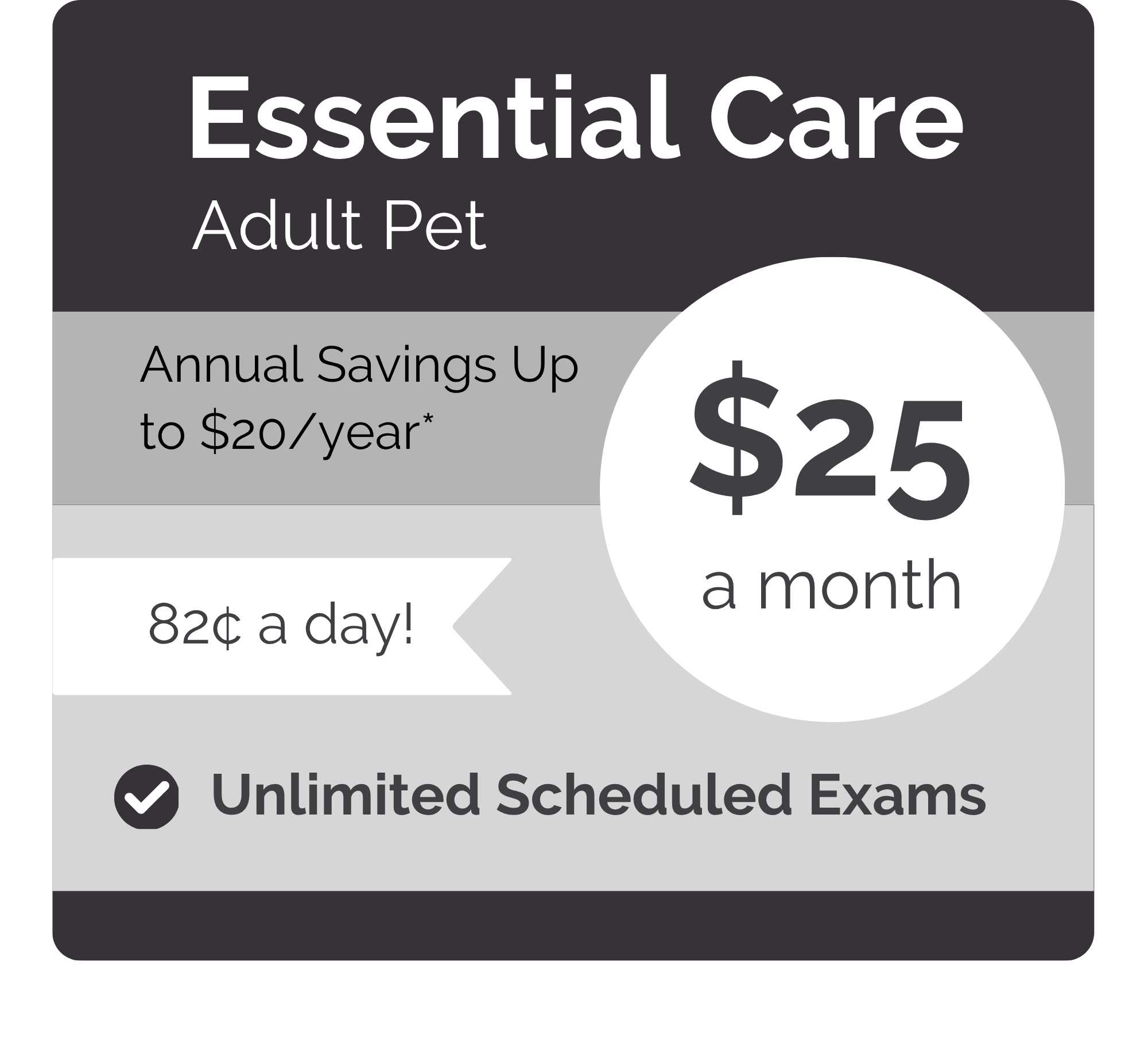 Kennesaw VIPet_Essential_Modern