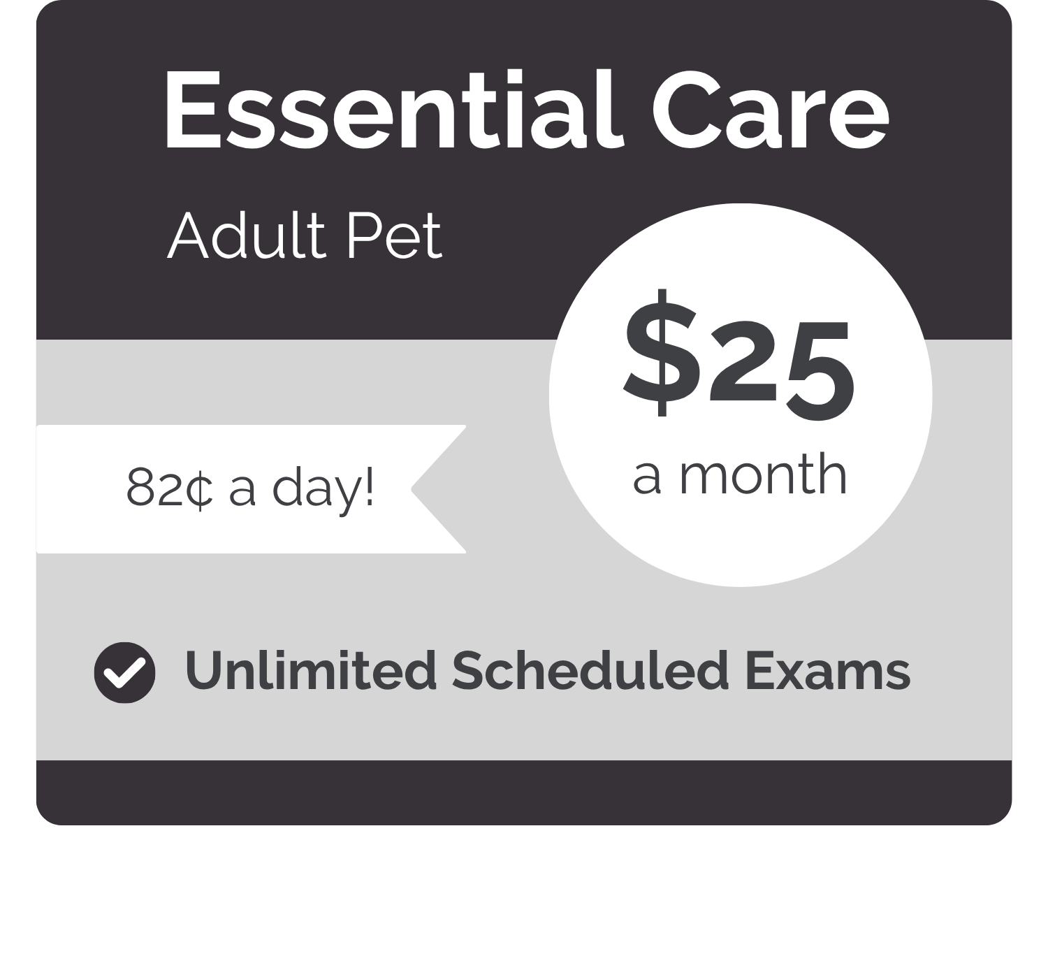 Kennesaw-VIPet_Essential_Modern