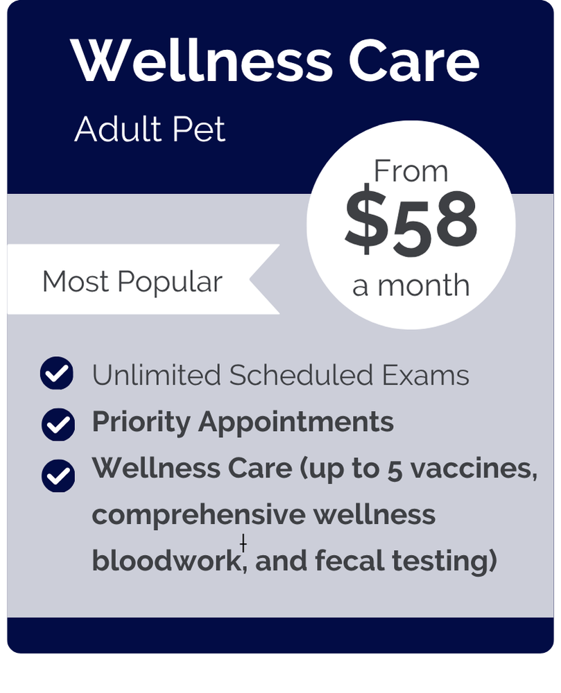 Kennesaw VIPet Plan_pricing_Wellness_Modern